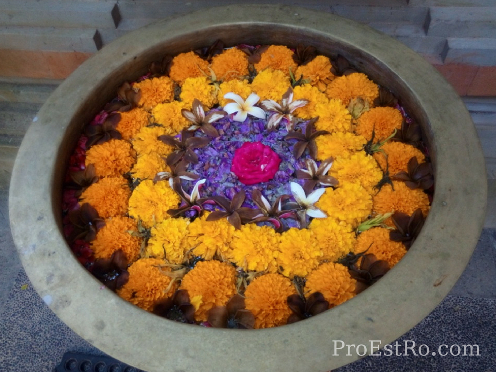 Picture from Anand ashram