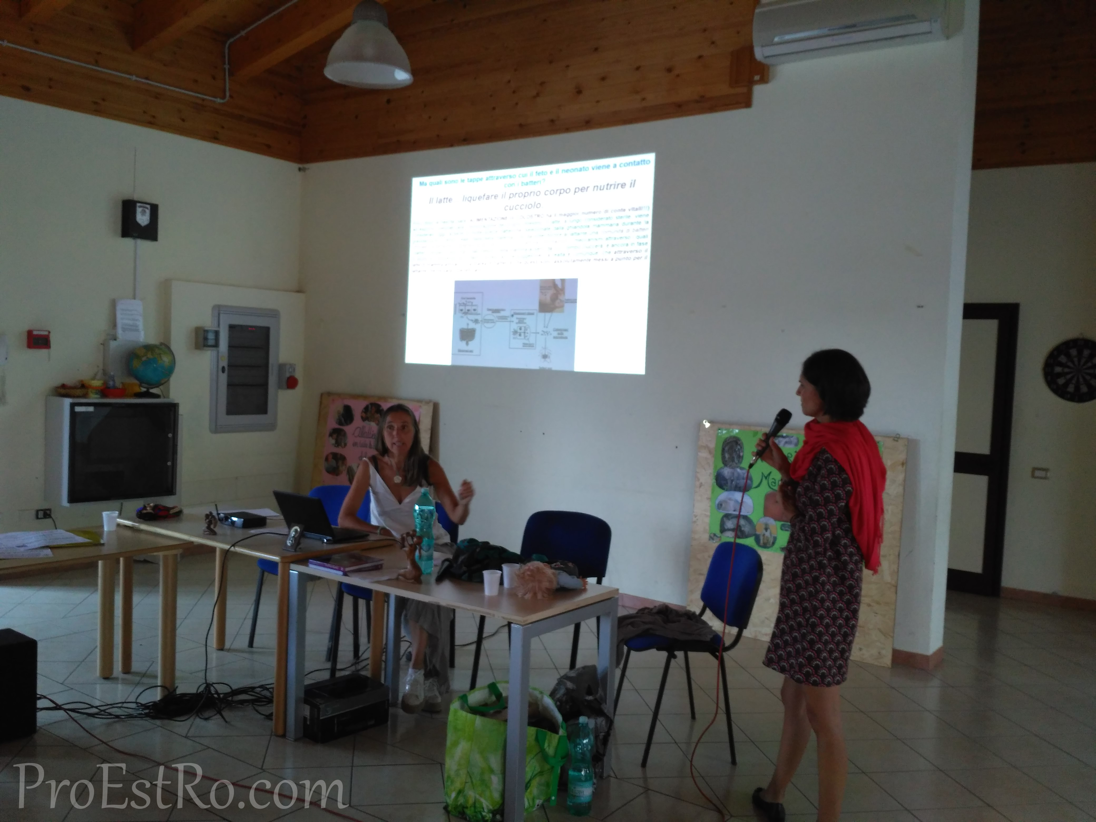 Process of wise conference